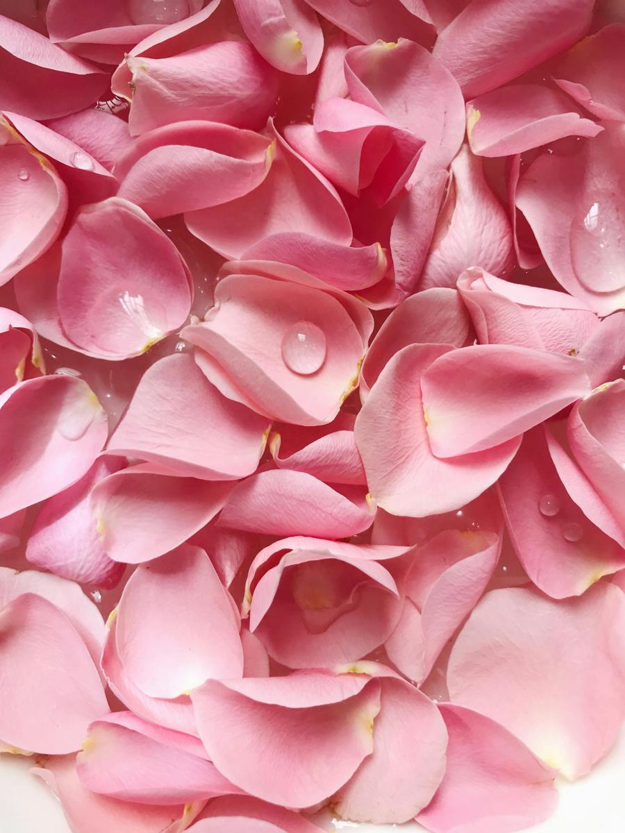 rose petals